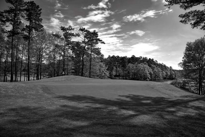 Competition Law and Land Agreements image